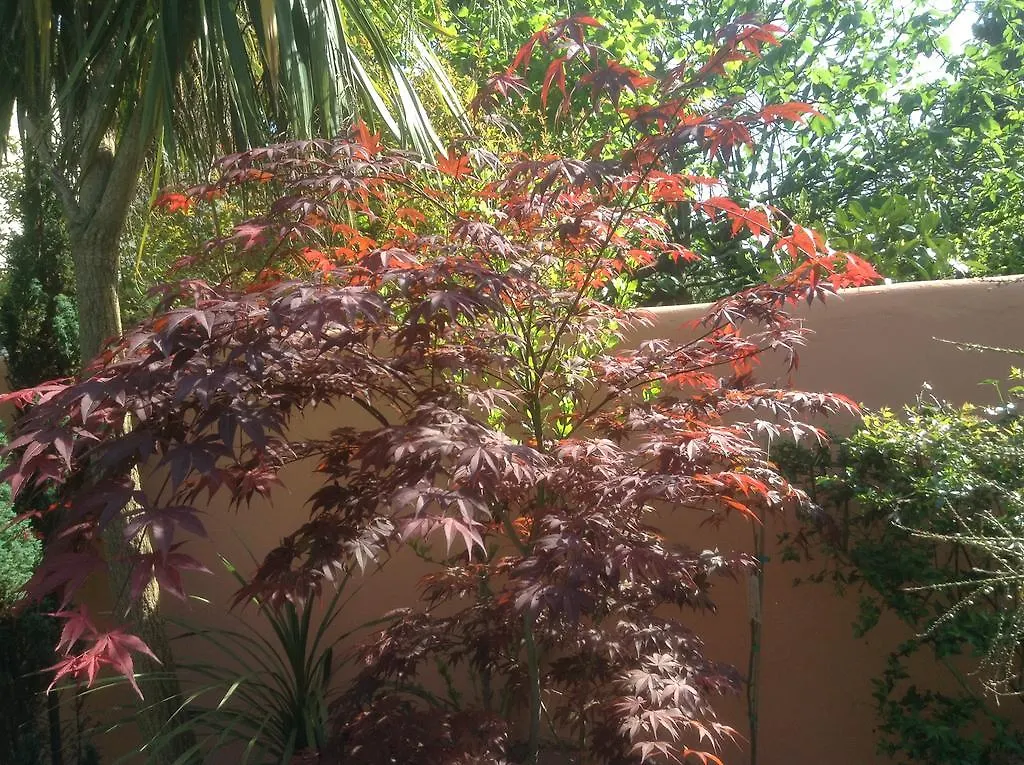 Guesthouse Aotearoa Premantura Guest house